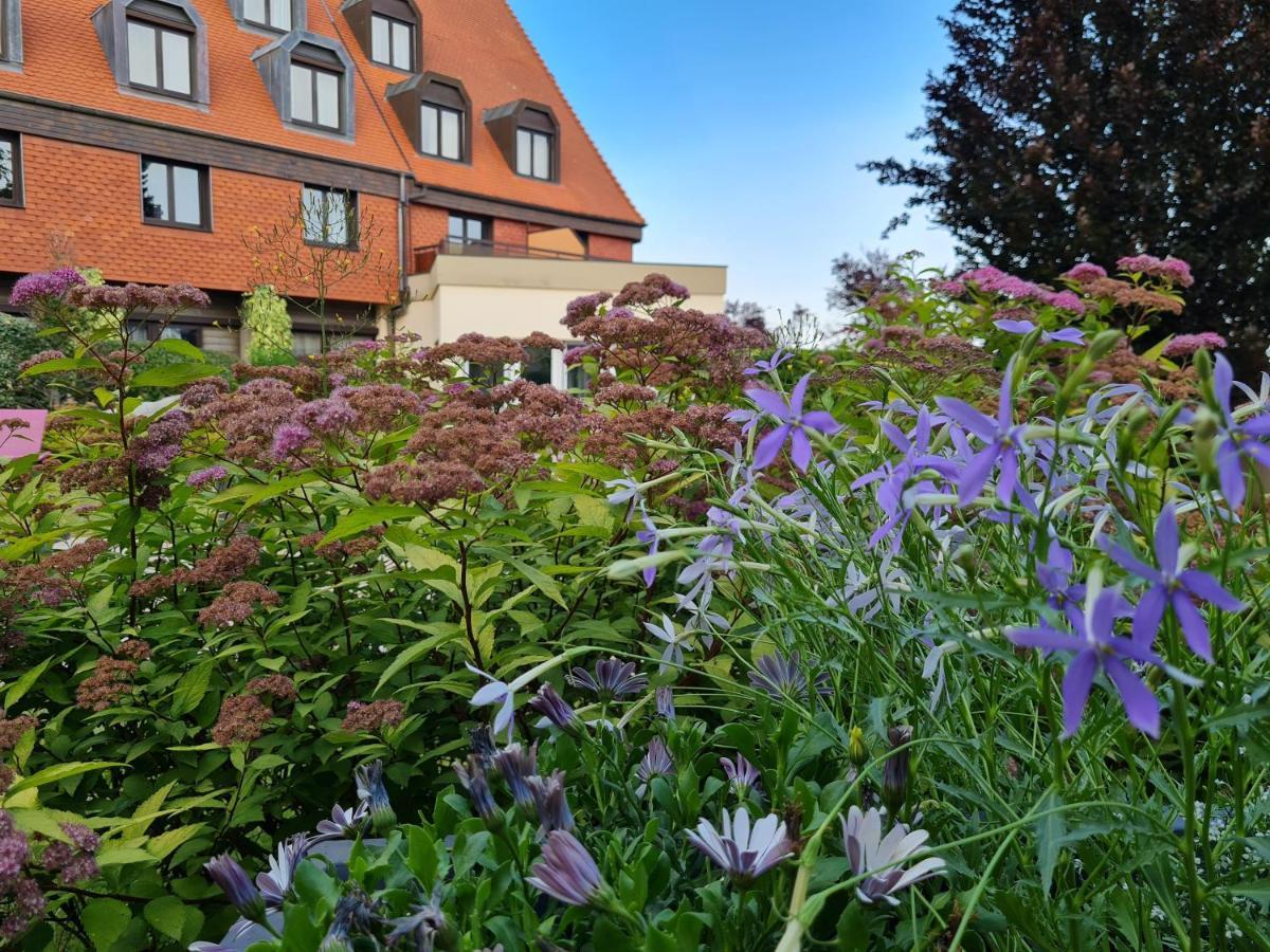 Hotel L'Europe Horbourg-Wihr Екстер'єр фото