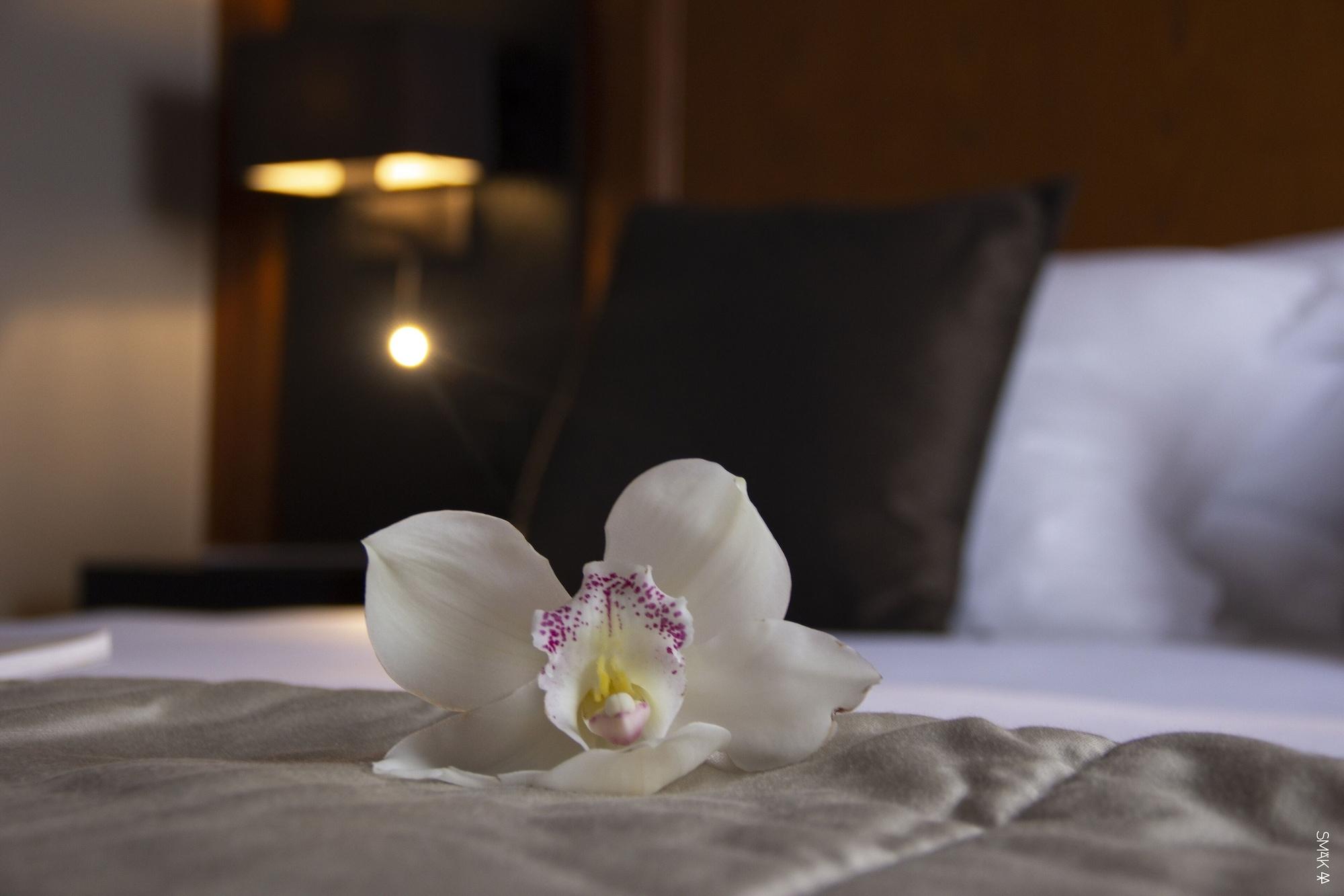 Hotel L'Europe Horbourg-Wihr Екстер'єр фото